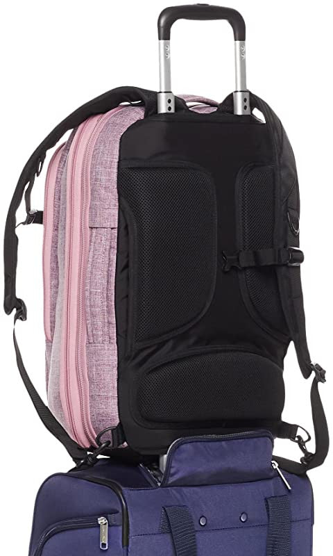 Amazon Basics - Mochila compacta de viaje, Morado, para viajes de fin de semana For Discount