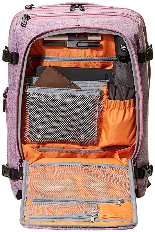 Amazon Basics - Mochila compacta de viaje, Morado, para viajes de fin de semana For Discount